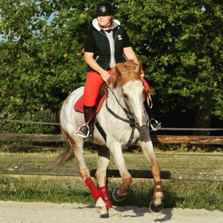 cavaliere equipee cheval au travail galop resize